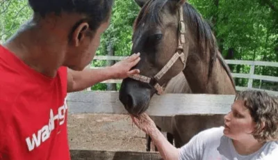 Two people interacting with a horse in an outdoor fenced area, surrounded by trees.